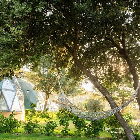 Lusso Glamping Bodrum Hotel ภายนอก รูปภาพ