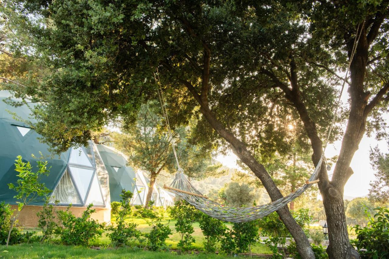 Lusso Glamping Bodrum Hotel ภายนอก รูปภาพ