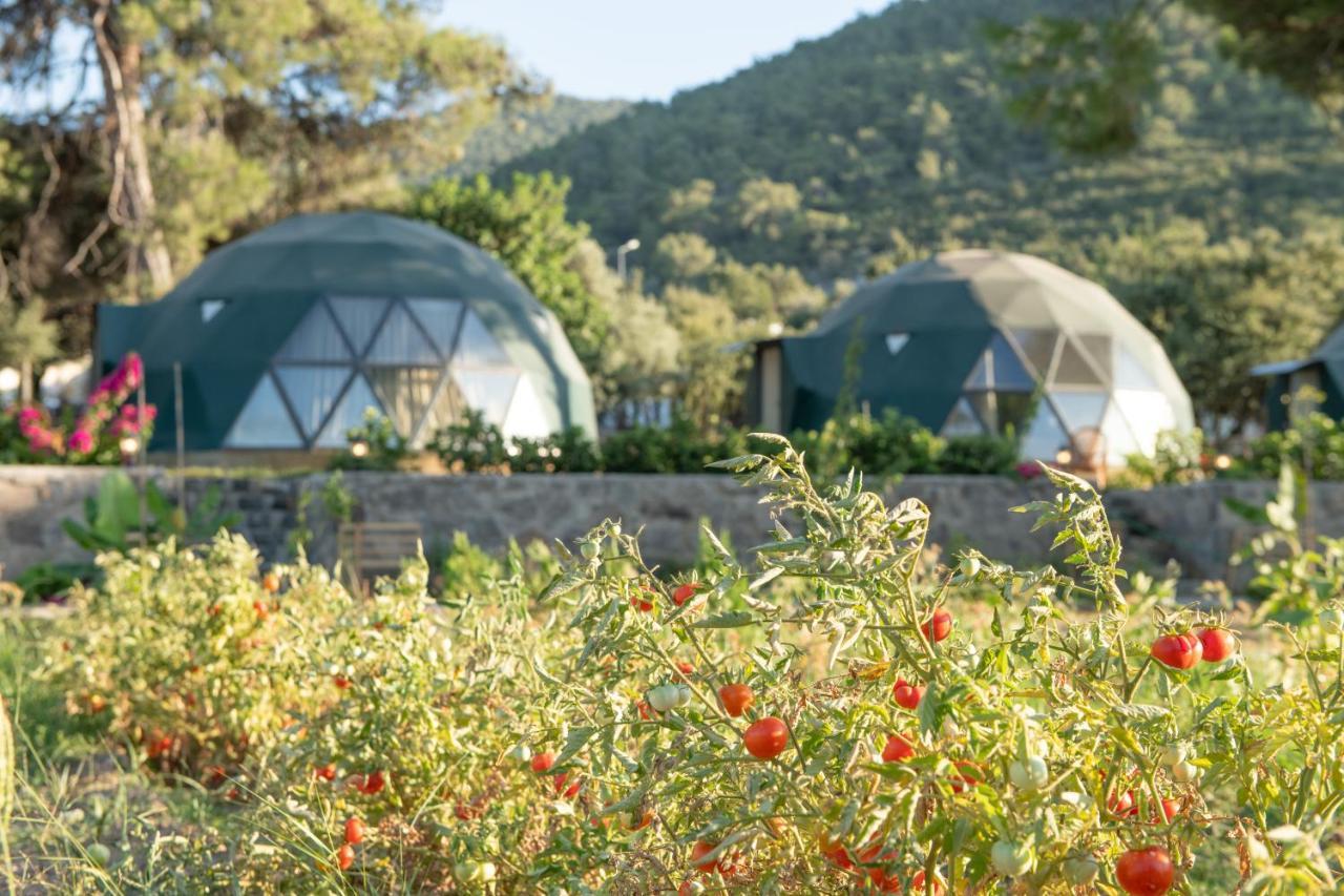Lusso Glamping Bodrum Hotel ภายนอก รูปภาพ