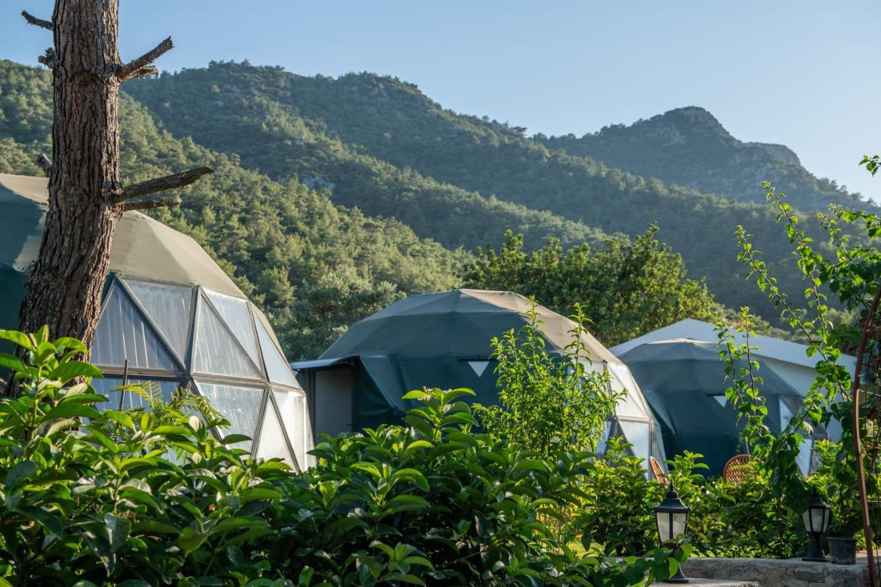 Lusso Glamping Bodrum Hotel ภายนอก รูปภาพ